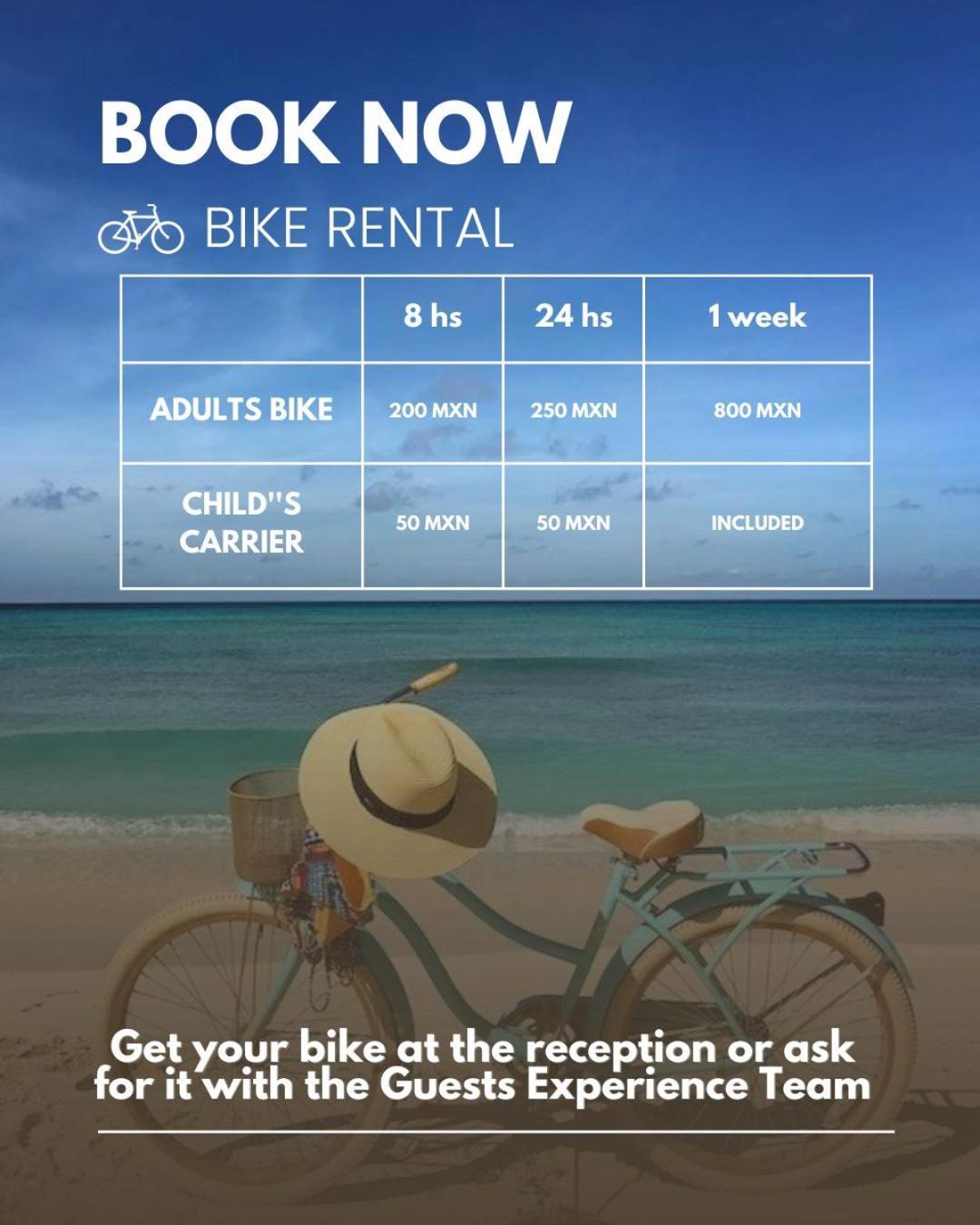 Terrasse Hotel 신데 델 카르멘 외부 사진